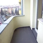 Rent 1 bedroom apartment of 49 m² in Brno