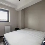 Rent 3 bedroom apartment of 100 m² in Krakow