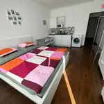 Rent 1 bedroom apartment of 25 m² in Praha