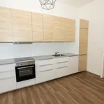 Pronajměte si 1 ložnic/e byt o rozloze 59 m² v Prague