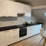 Rent 1 bedroom apartment in brussels