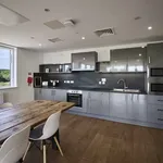 Rent 1 bedroom apartment in Coventry