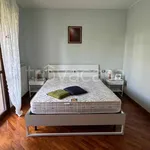 Rent 2 bedroom apartment of 65 m² in Prato