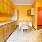 Rent 2 bedroom apartment of 55 m² in Turin