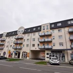 Rent 2 bedroom apartment of 57 m² in Chemnitz