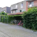 Rent 2 bedroom apartment in Wommelgem