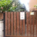 Rent 3 bedroom apartment of 60 m² in Roma