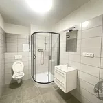 Pronajměte si 2 ložnic/e byt o rozloze 65 m² v Praha