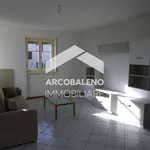 Rent 3 bedroom apartment of 75 m² in Trento