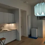 Rent 1 bedroom apartment in Brussels