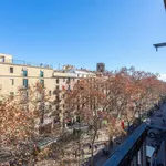 Alquilar 1 dormitorio apartamento en Barcelona