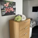 Rent 1 bedroom apartment in Auckland