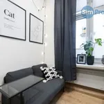 Rent 1 bedroom apartment in Brno