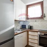 Rent 4 bedroom apartment of 108 m² in Torino