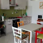 Rent 2 bedroom apartment of 55 m² in Livorno