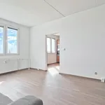 Rent 1 bedroom apartment in Chomutov