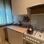 Rent 4 bedroom apartment of 100 m² in Bologna