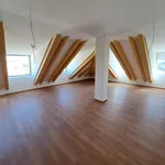 Rent 3 bedroom apartment of 115 m² in Brno