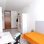 Rent 9 bedroom apartment in Trento