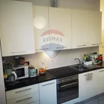 Rent 3 bedroom apartment of 85 m² in Bologna