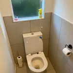 Rent 4 bedroom house in Auckland