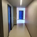 Rent 4 bedroom apartment of 95 m² in Torino