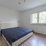 Miete 1 Schlafzimmer wohnung von 75 m² in berlin