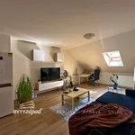 Rent 2 bedroom apartment of 70 m² in Plzeň