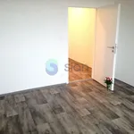 Rent 2 bedroom apartment of 49 m² in Ostrava