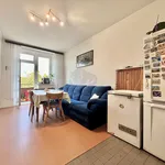 Rent 2 bedroom apartment of 50 m² in Capital City of Prague