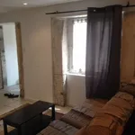 Rent 1 bedroom apartment of 18 m² in Lyon 1