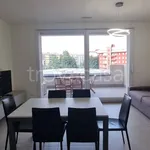 Rent 2 bedroom apartment of 77 m² in Vimodrone