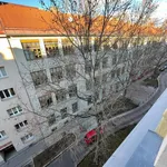 Miete 1 Schlafzimmer wohnung in Vienna