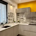 Rent 2 bedroom apartment of 90 m² in Turin