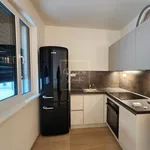 Rent 2 bedroom apartment of 58 m² in Capital City of Prague