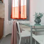 Rent 1 bedroom apartment of 30 m² in Milano