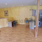 Pronajměte si 1 ložnic/e byt o rozloze 94 m² v Pilsen