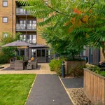 Rent 1 bedroom apartment in East Of England