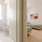 Rent 2 bedroom apartment of 85 m² in bologna