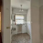 Rent 2 bedroom apartment of 65 m² in Turin