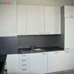 Rent 3 bedroom apartment of 105 m² in Nové Město nad Metují