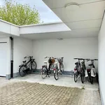 Rent 1 bedroom apartment in Sint-Andries