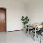 Rent 1 bedroom apartment in milan