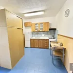 Rent 1 bedroom apartment of 33 m² in Křišťanovice