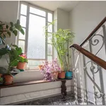 Rent 2 bedroom apartment of 60 m² in Torino