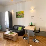 Rent 1 bedroom apartment of 28 m² in Saint Etienne