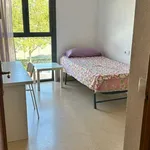 Rent a room in valencia