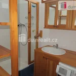 Rent 2 bedroom apartment of 48 m² in Zlín