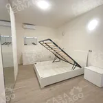 Rent 1 bedroom apartment of 70 m² in Cerea