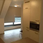 Rent 1 bedroom apartment in Sint-Katelijne-Waver